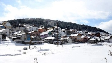 Sivas'ta çam ağaçlarıyla ciltli Eğriçimen Yaylası'na kar yağdı
