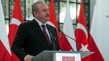 TBMM Başkanı Şentop: AB üyeliği Türkiye düşüncesince halen mühim ortak hedef