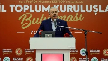 TBMM Başkanı Şentop: Türkiye'nin dünkü dünyaya apiko olması lazım