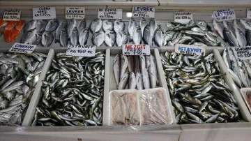 Tekirdağ'da balıkçılar sis dolayısıyla denize açılamayınca balık tutarları arttı