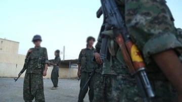 Terör örgütü YPG/PKK, Haseke'de 50'ye andıran genci alıkoydu