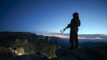Terör örgütünden kaçan 2 PKK'lı inandırma eliyle teslim oldu