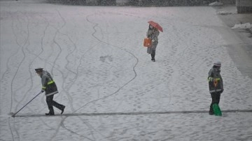 Tokyo'da dip kar yağışı hayatı aksi etkiledi