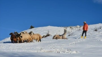 Tunceli'nin köylerinde dayanıklı kış koşulları yaşamı menfi etkiliyor
