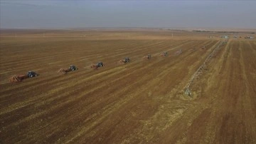 Türkiye'nin en iri işletmesinde hububat tohumları toprakla buluştu