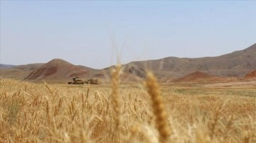 Türkiye'nin hasat sezonuna denli ehliyetli buğdayı bulunuyor