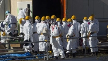 Uluslararası Atom Enerjisi heyeti Fukuşima'da çekirdeksel santrali denetleyecek