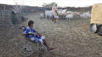 Yemen'de çobanlık fail evlatların ağır rüyası: Mayınlar