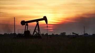 Yüksek fuel oil fiyatlarına üzerine petrol tüketicisi ülkelerden kuma hamle