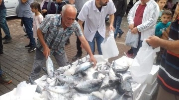 Zonguldak'ta pelit bolluğu fiyatlara yansıdı